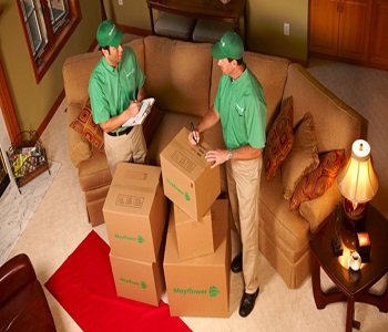 services